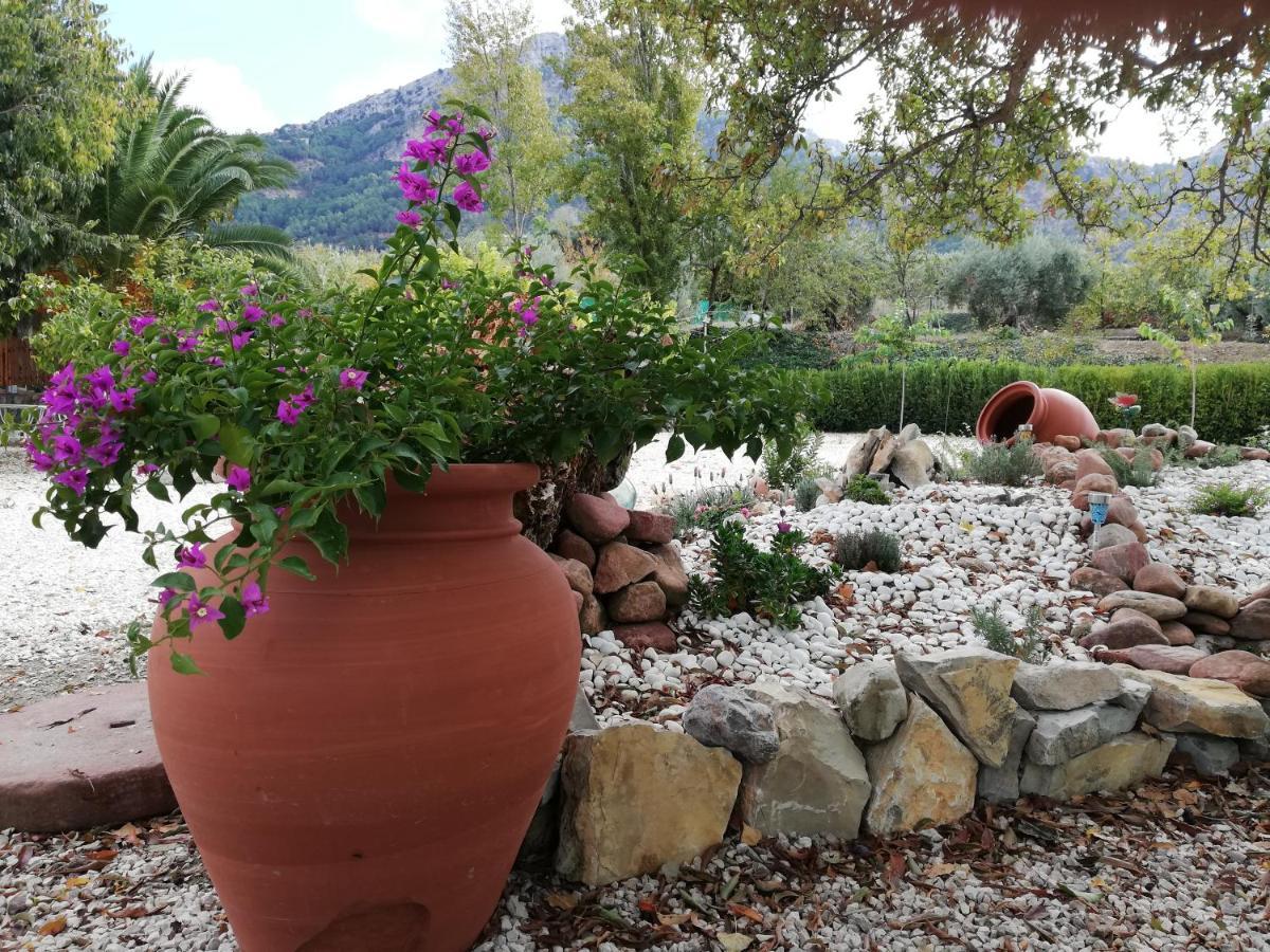 Alojamiento Rural Casa Fuente Del Prado La Iruela Exterior photo
